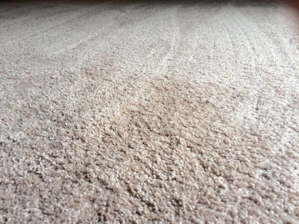 Plush Carpet Installation in Poulsbo